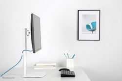 Neomounts monitor desk mount image 5